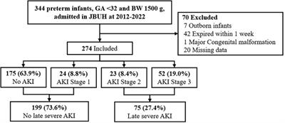 Perinatal risk factors for late neonatal severe acute kidney injury in very low birth weight infants: a retrospective study